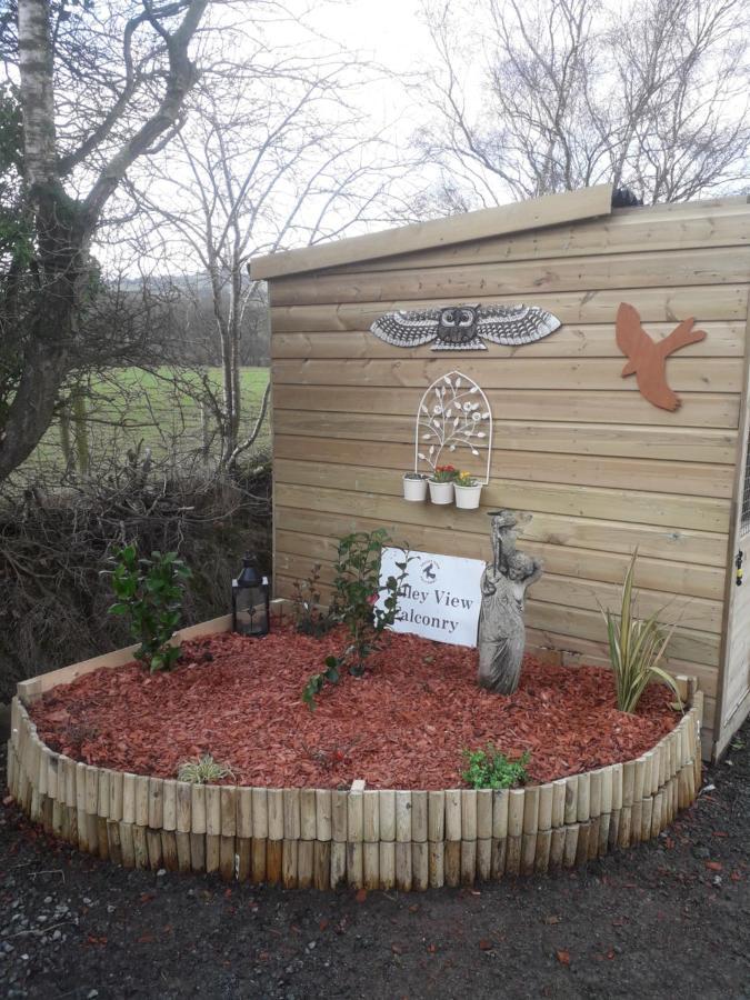 Ruby Shepherds Hut Sleeps 4 Rhayader Exterior photo